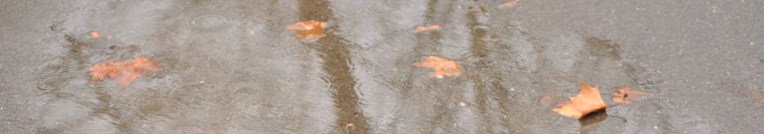 Herbst