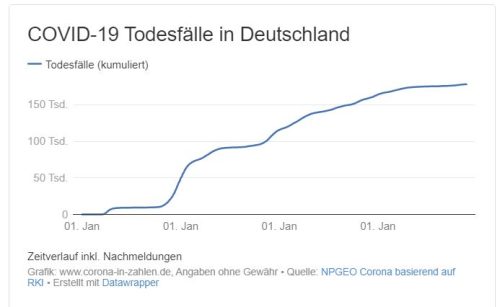 COVID-19 Todesfälle bis Nov. 2023