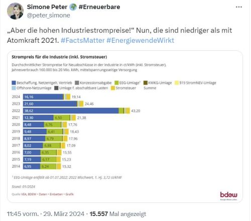 Simone Peters Wahrheitskrümmung