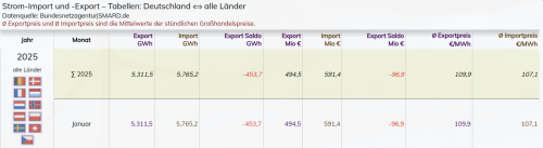 Stromimport/-export-Saldo 31.01.2025