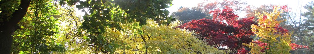 Herbst