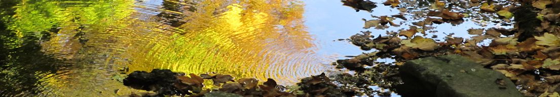 Herbst