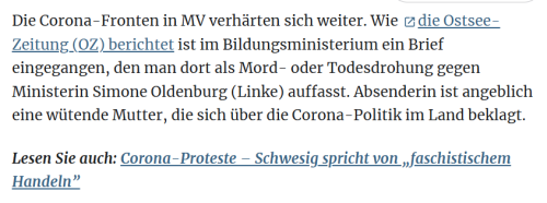 Link auf SChwesig-Artikel