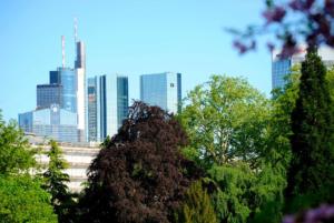 Blick aus dem Palmengarten