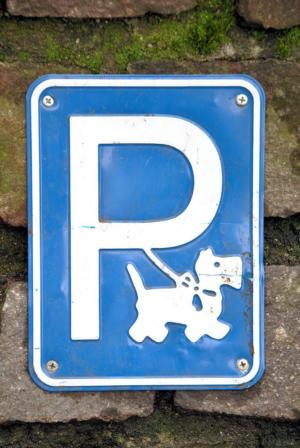Hundeparkplatz