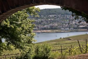 Blick auf den Rhein